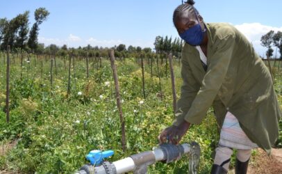 Soldering on despite setbacks in the Kenyan flower industry due Covid-19