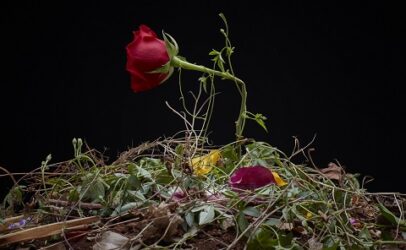 Mobile legal clinics; women flower workers rescue