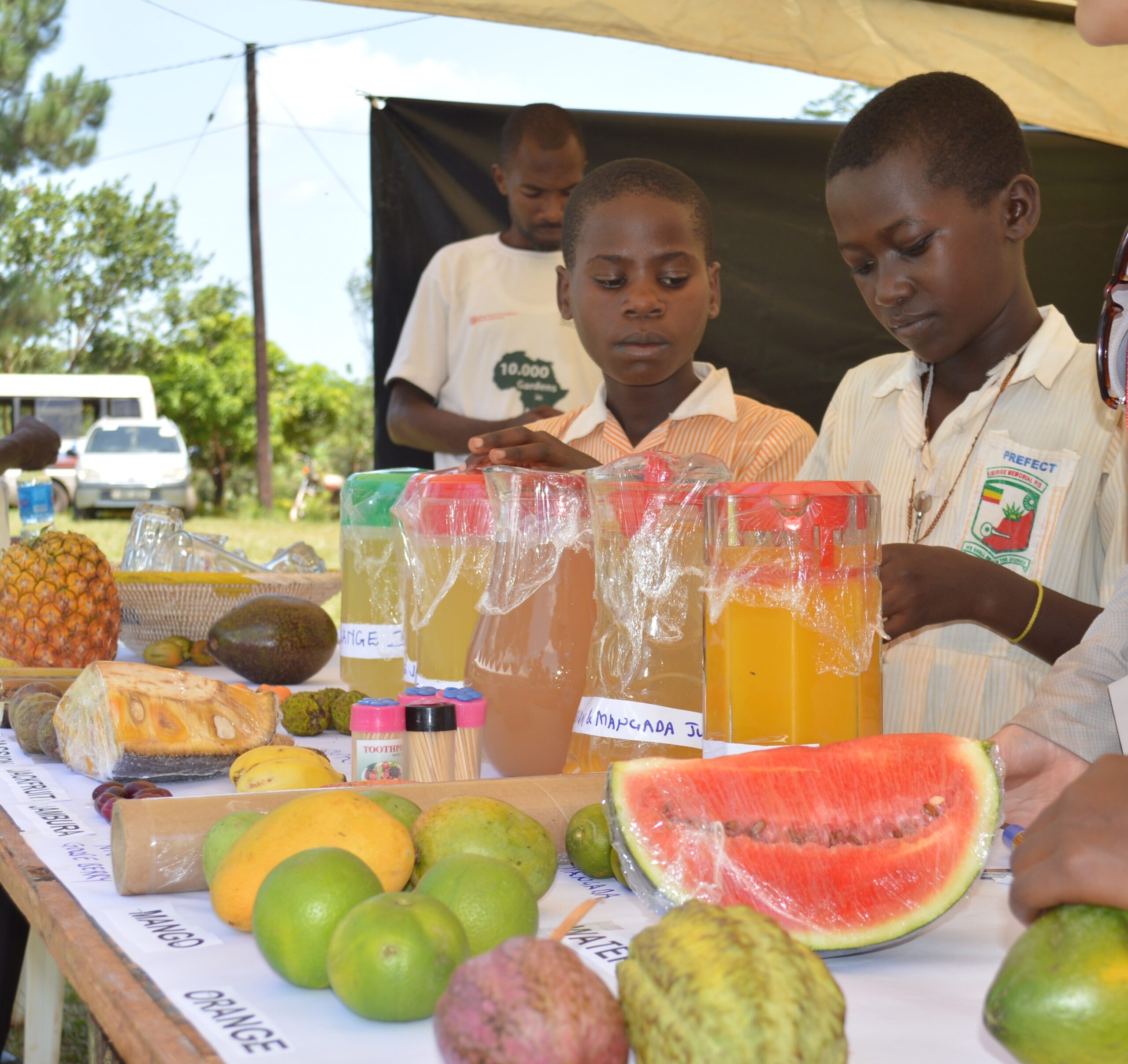 Rediscovering the value of indigenous fruits through Uganda’s Fruit and Juice Festival