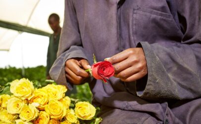 Hivos hosts a webinar to discuss the impact of COVID-19 on women workers in the horticultural sector.