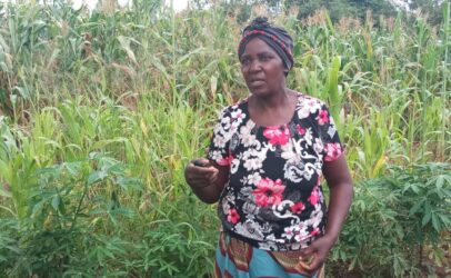 Women key to food systems, healthy & sustainable diets