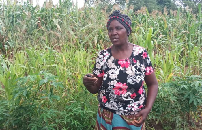 Women key to food systems, healthy & sustainable diets