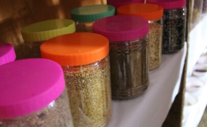 10 rich,underutilized crops in Kenya