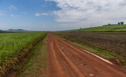 Drawing lines for cash and food crop farming systems in Uganda