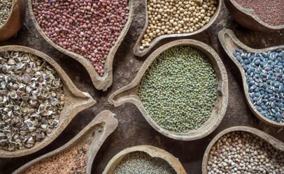 Seed is the heart and soul of biodiversity.