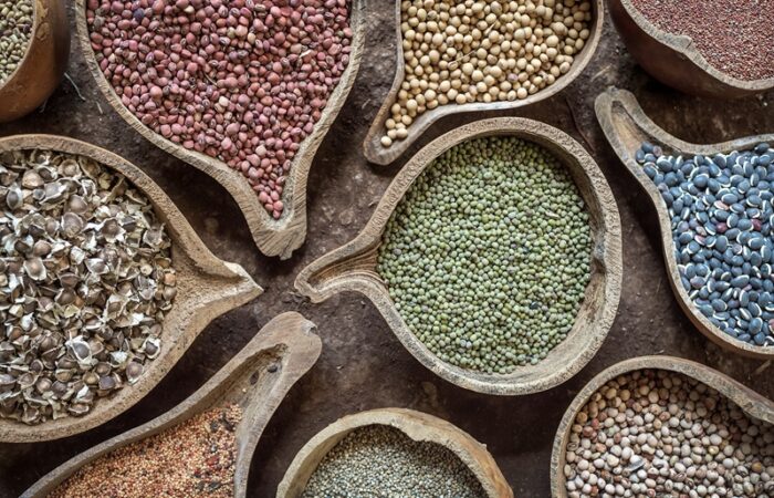 Seed is the heart and soul of biodiversity.