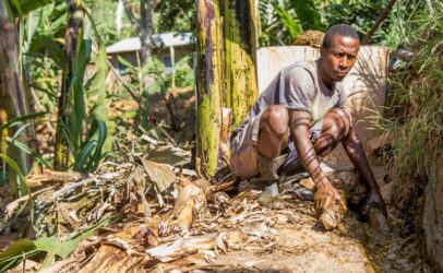 Changing lives a day at a time: Biogas in sub-Saharan Africa