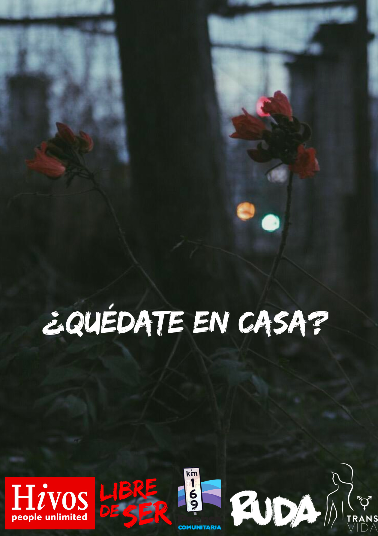 Fotolibro ¿Quédate en casa?