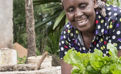 Hivos transfers carbon finance programs