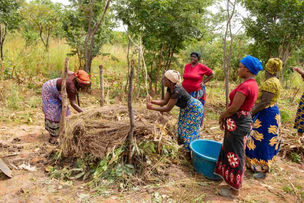Women take on climate change in Zambia - Hivos