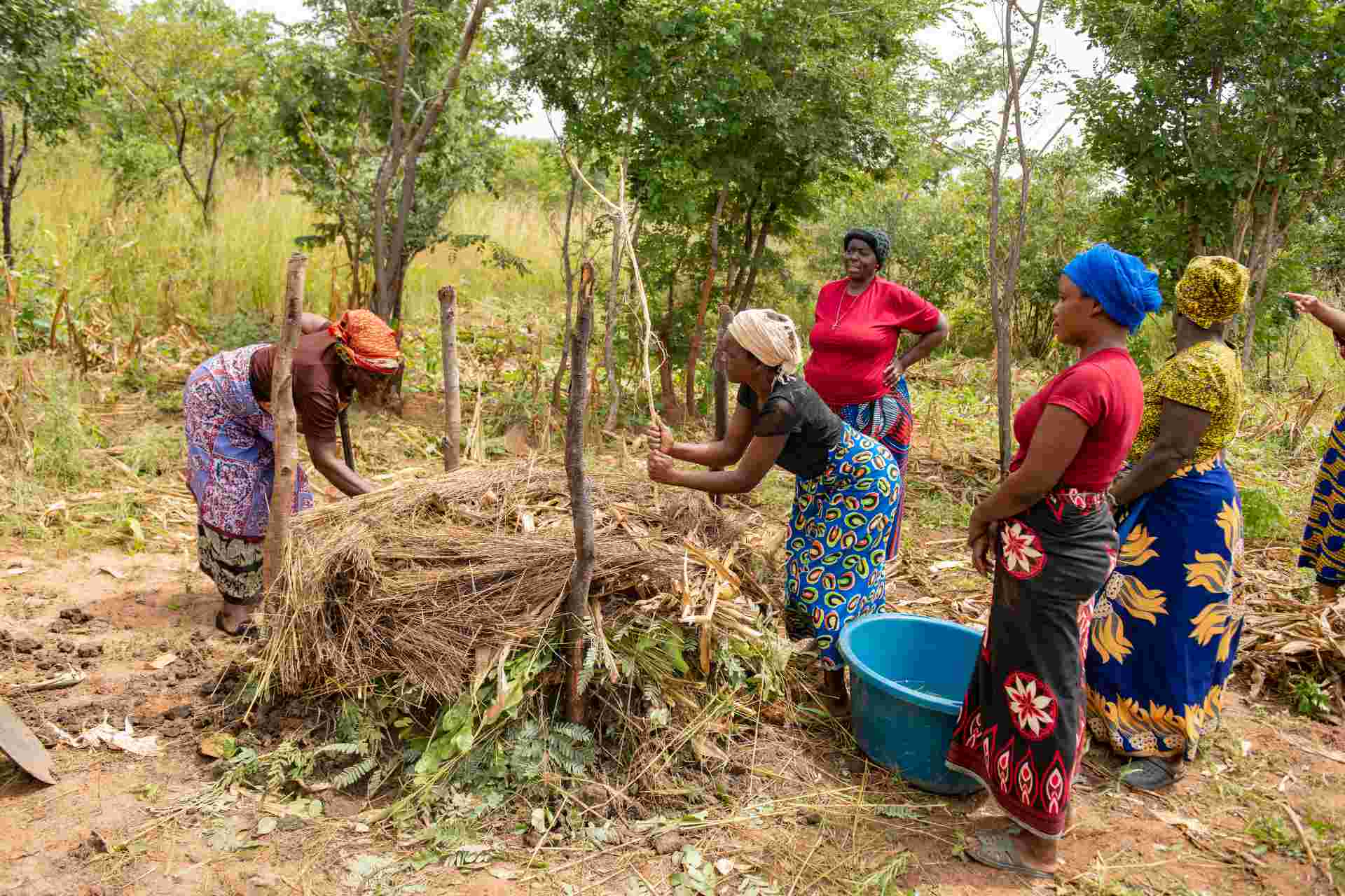 Use of organic fertilizer in Zambia 