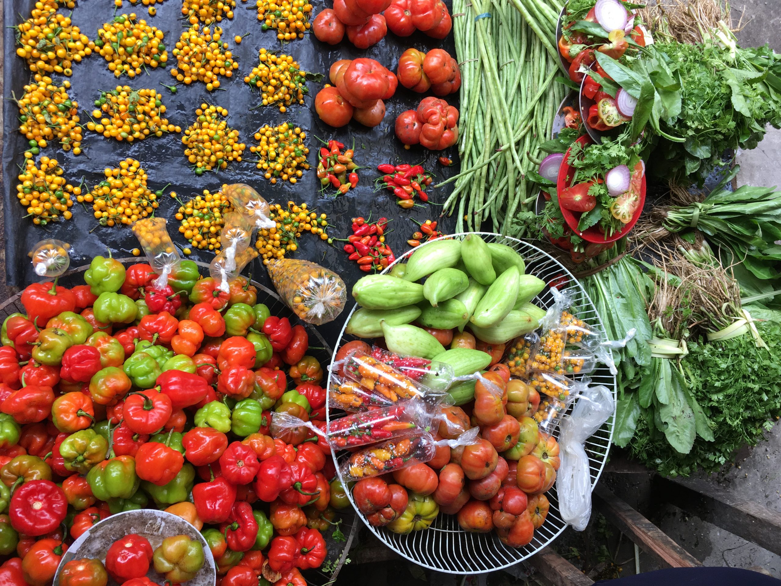 Hivos lanza el Programa: Futuros Urbanos: acción juvenil por sistemas alimentarios inclusivos y resilientes al cambio climático