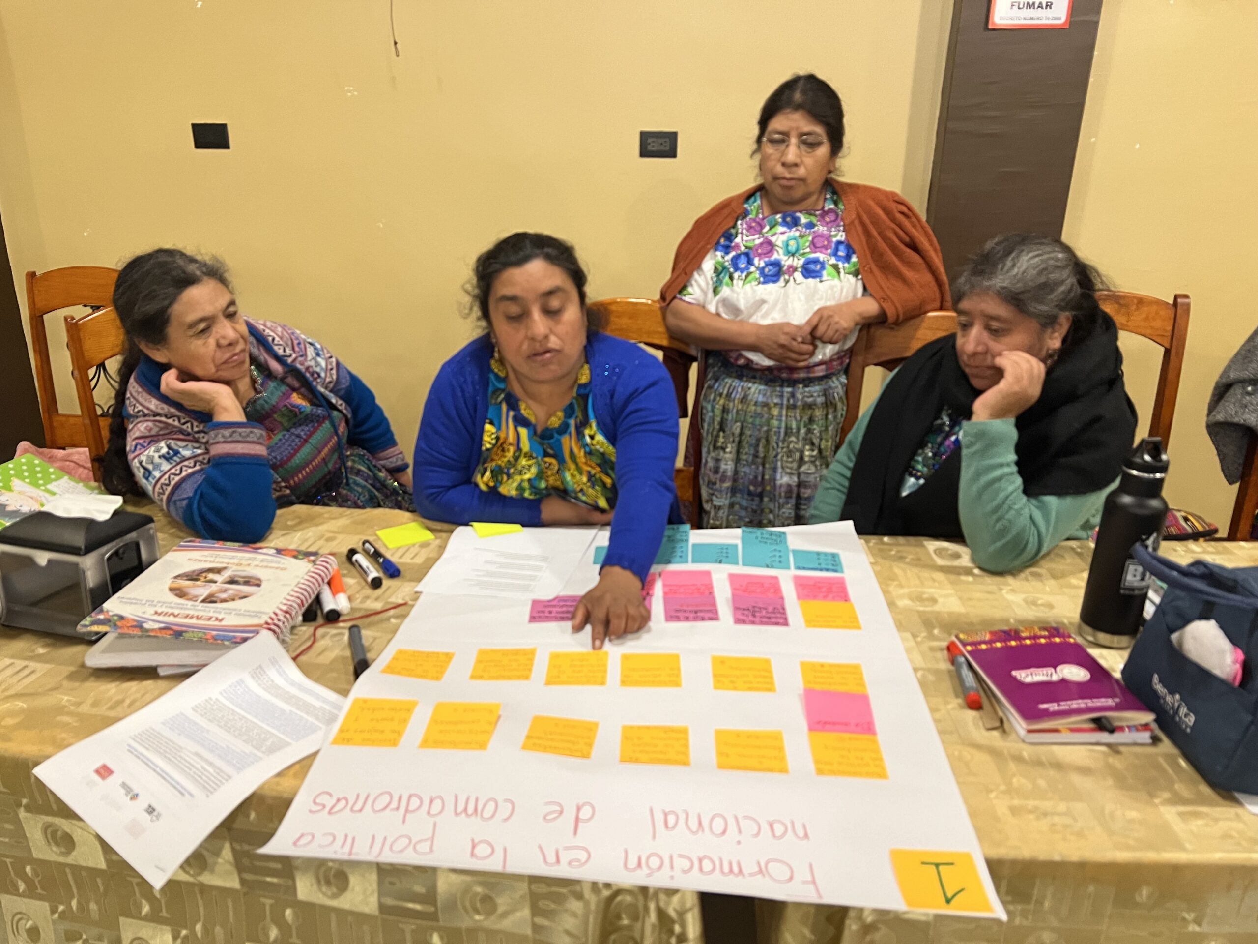 Iniciativa Empoderamiento Económico de Mujeres y Niñas Indígenas en Guatemala – IWEE-