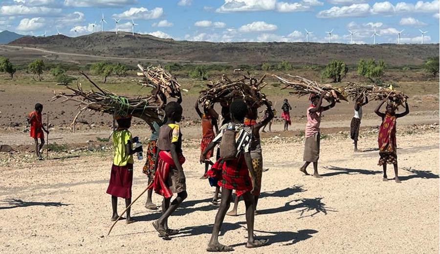 Lake Turkana residents carrying firewood for cooking