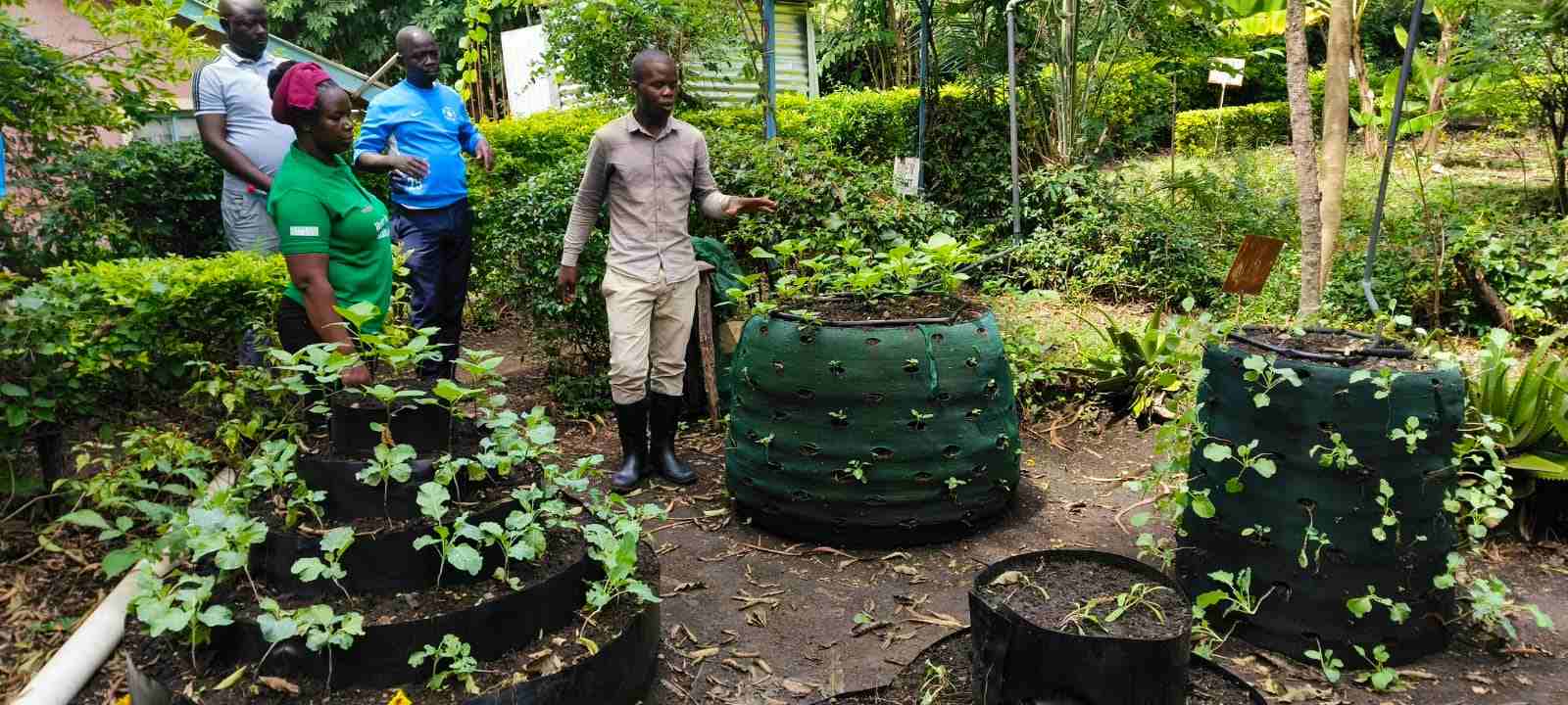 A youth group is running an Indigenous tree nursery that helps with reforestation.