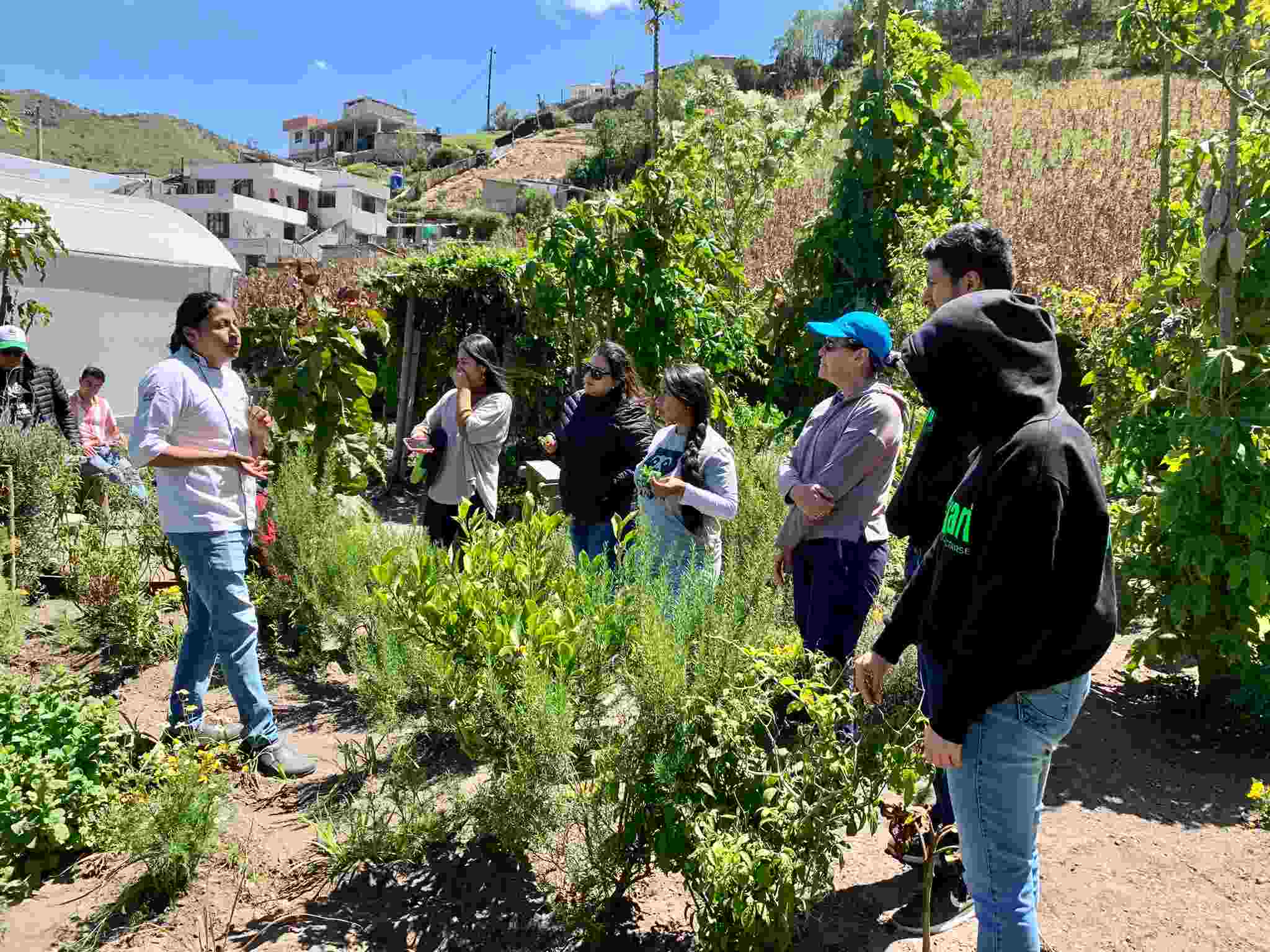 A talented young local chef showcases his diverse vegetable gardenIn the Andean Chocó