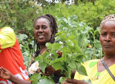 Rural Women Cultivating Change Program (RWCC)