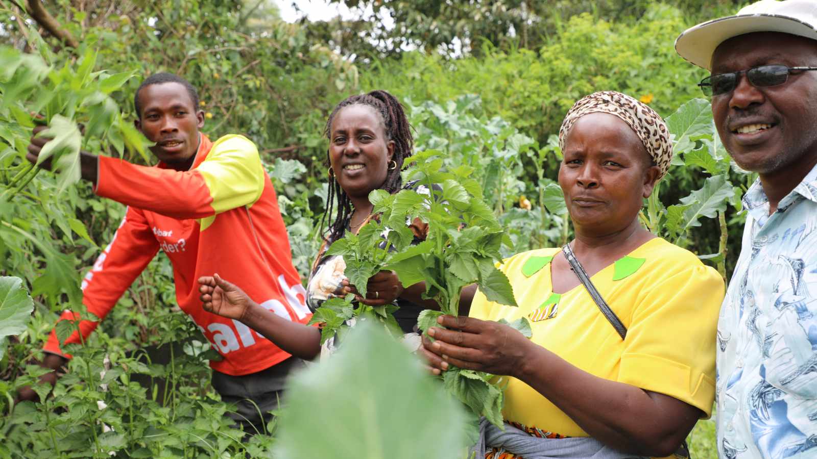 RWCC agroecology training in Kenya