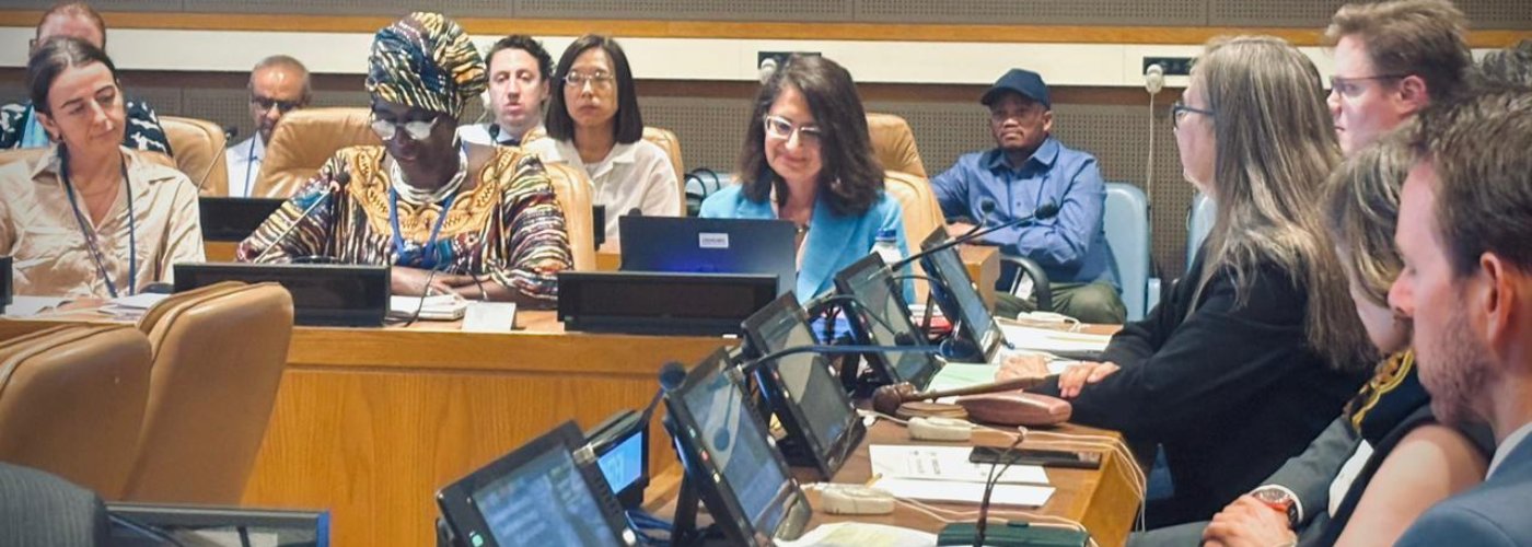 ENERGIA director speaking about gender-just energy at the HLPF