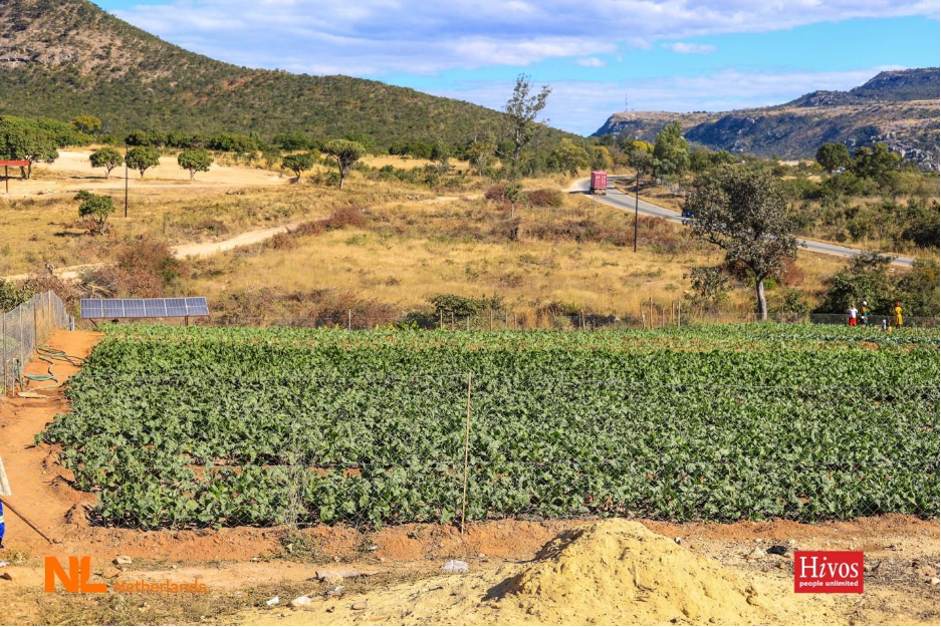 Taguta Farm in Mutare, Zimbabwe, has a solar system installed for irrigation purposes 