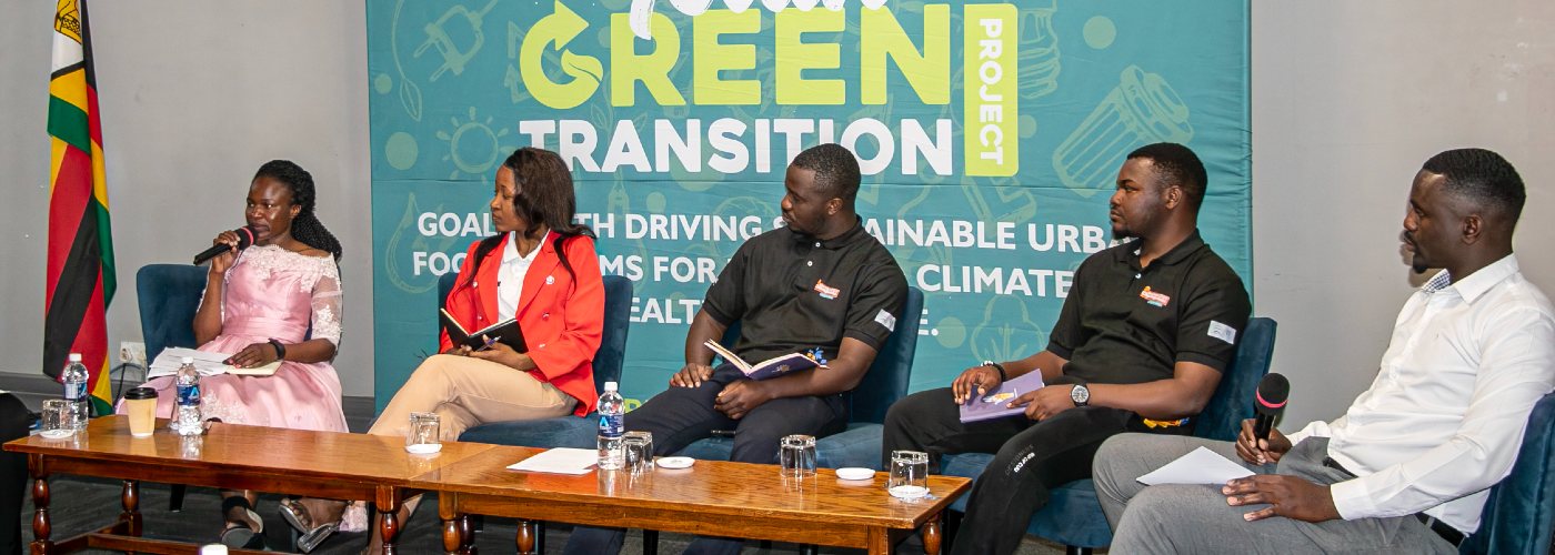 Panel about the importance of youth-led green enterprises in Zimbabwe
