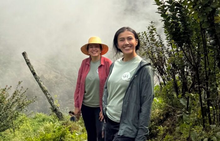 The land speaks and the city listens