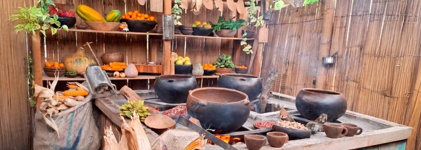 Seeding hope in deforested land:&nbsp;food with a sense of place&nbsp;