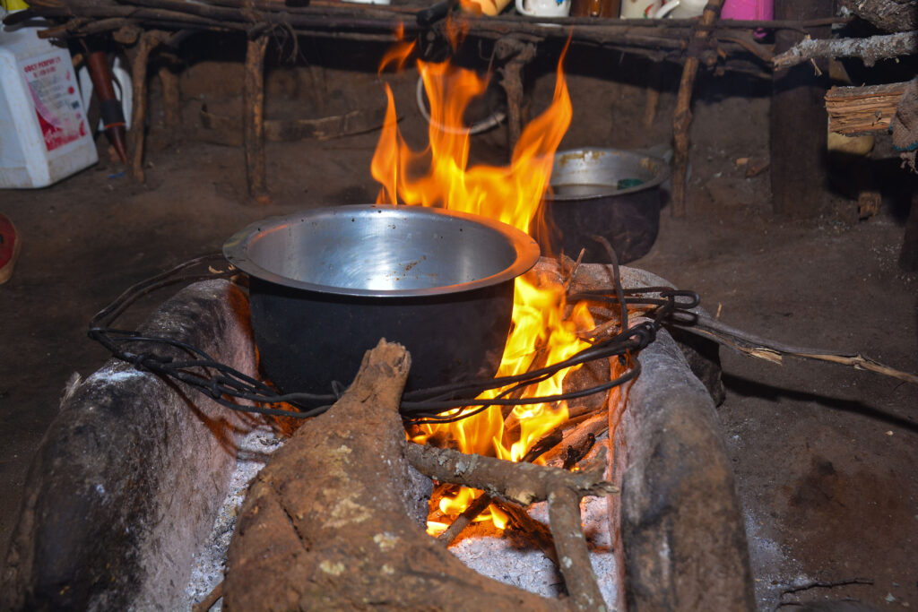 Ecosense :: : Redefining Clean Cooking for Communities